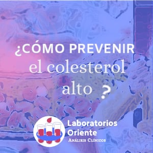 como prevenir el colesterol alto en sangre